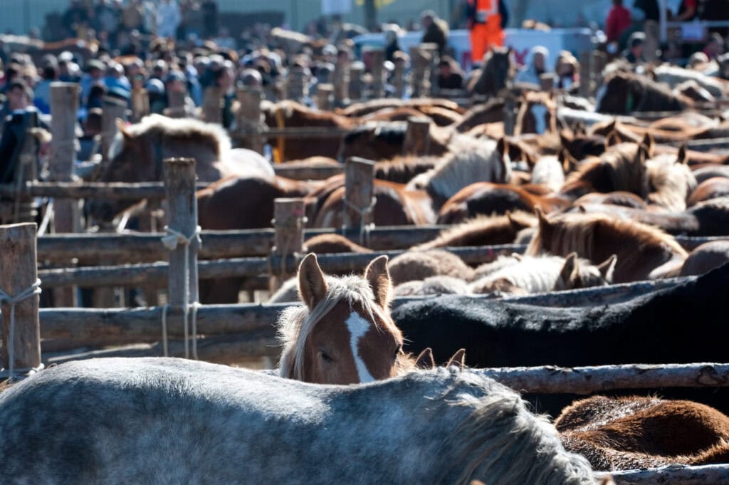 fira del cavall a puigcerda 0 Compra y venta de casas y pisos La Cerdanya