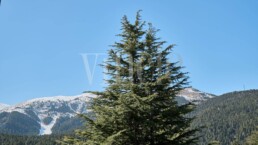 La Molina Ref1581 62203 uai Compra y venta de casas y pisos La Cerdanya